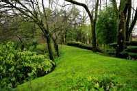 /album/nature/a0027177re-copie-jpg/